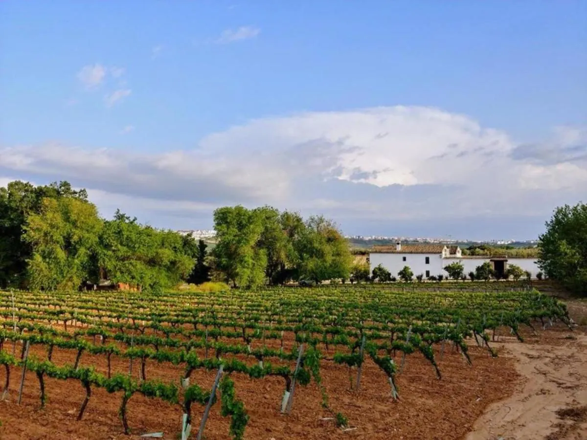 Bodega Boutique Finca Buytron Montilla 0*,