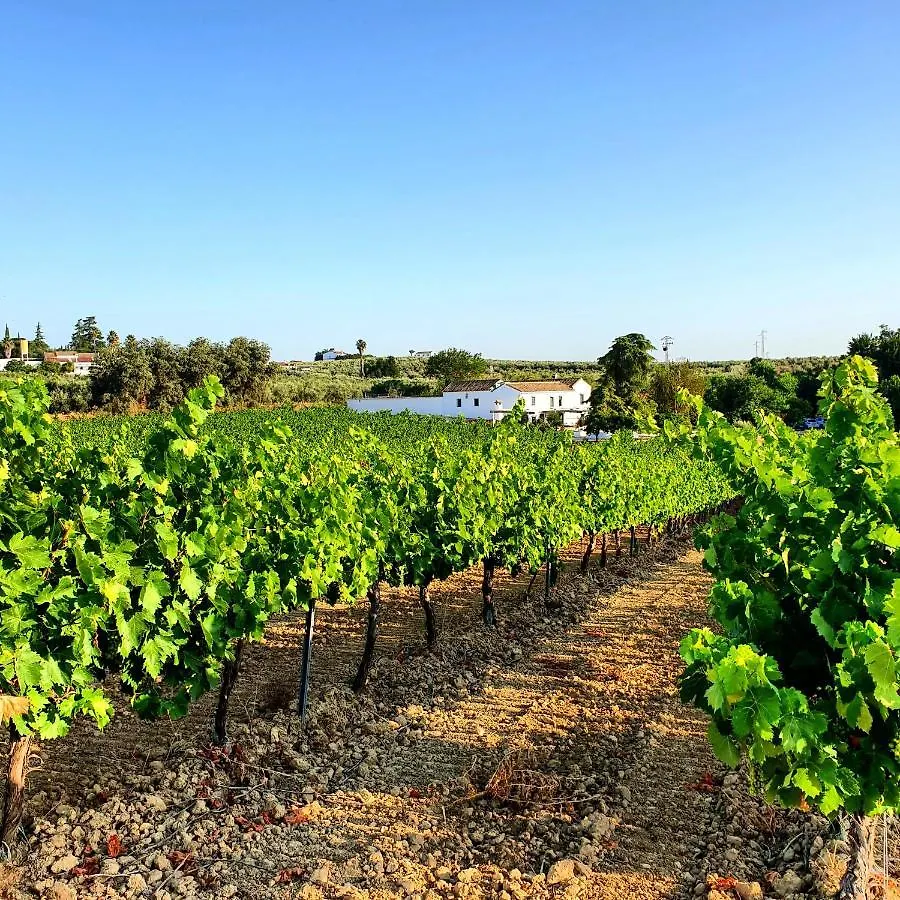 Casa di campagna Bodega Boutique Finca Buytron Montilla