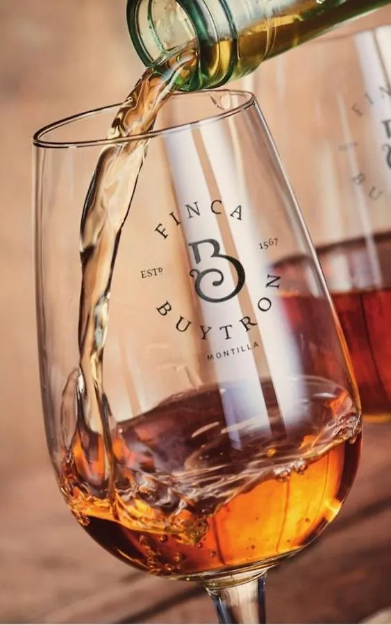 Bodega Boutique Finca Buytron 蒙蒂利亚 乡村民宿